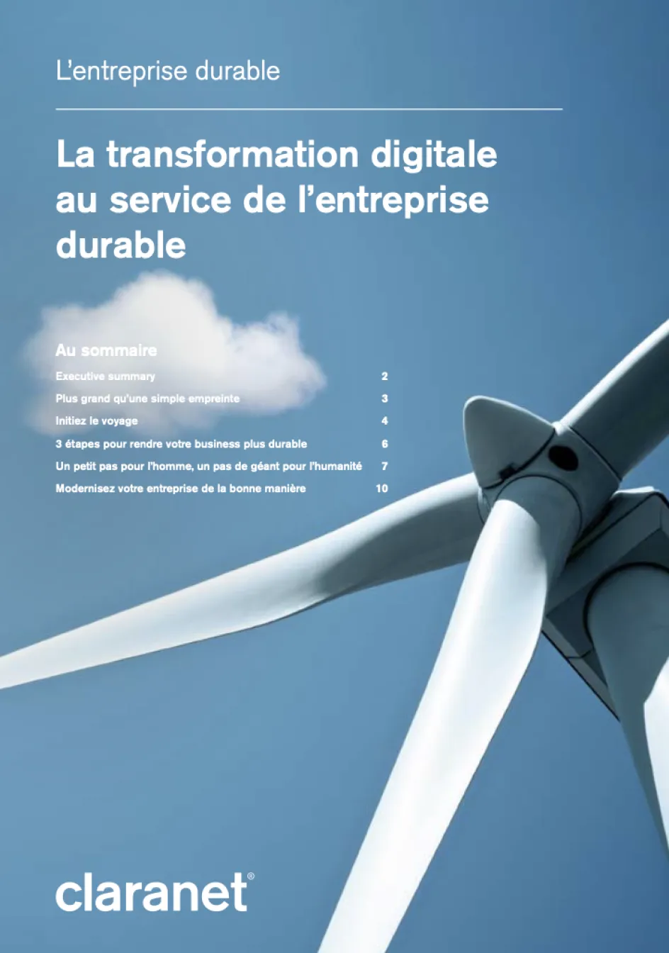 Livre blanc l'entreprise durable couverture